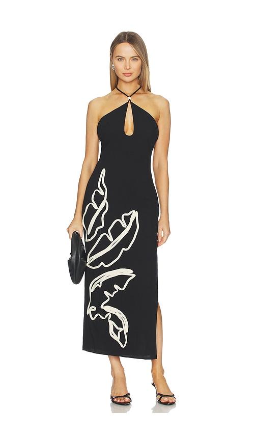 SEVEN WONDERS Brontie Keyhole Halter Midi Dress in Black,White by SEVEN WONDERS