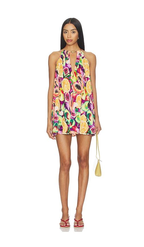 Show Me Your Mumu Lucille Mini Dress in Orange, Pink by SHOW ME YOUR MUMU