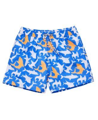 Boys' Shark Squad Swim Short - Little Kid by SNAPPER ROCK
