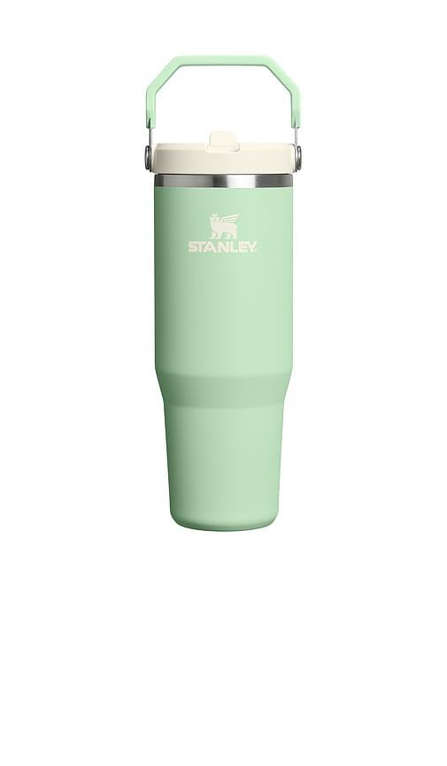 STANLEY The Iceflow Flip Straw 2.0 Tumbler 30 Oz in Mint by STANLEY