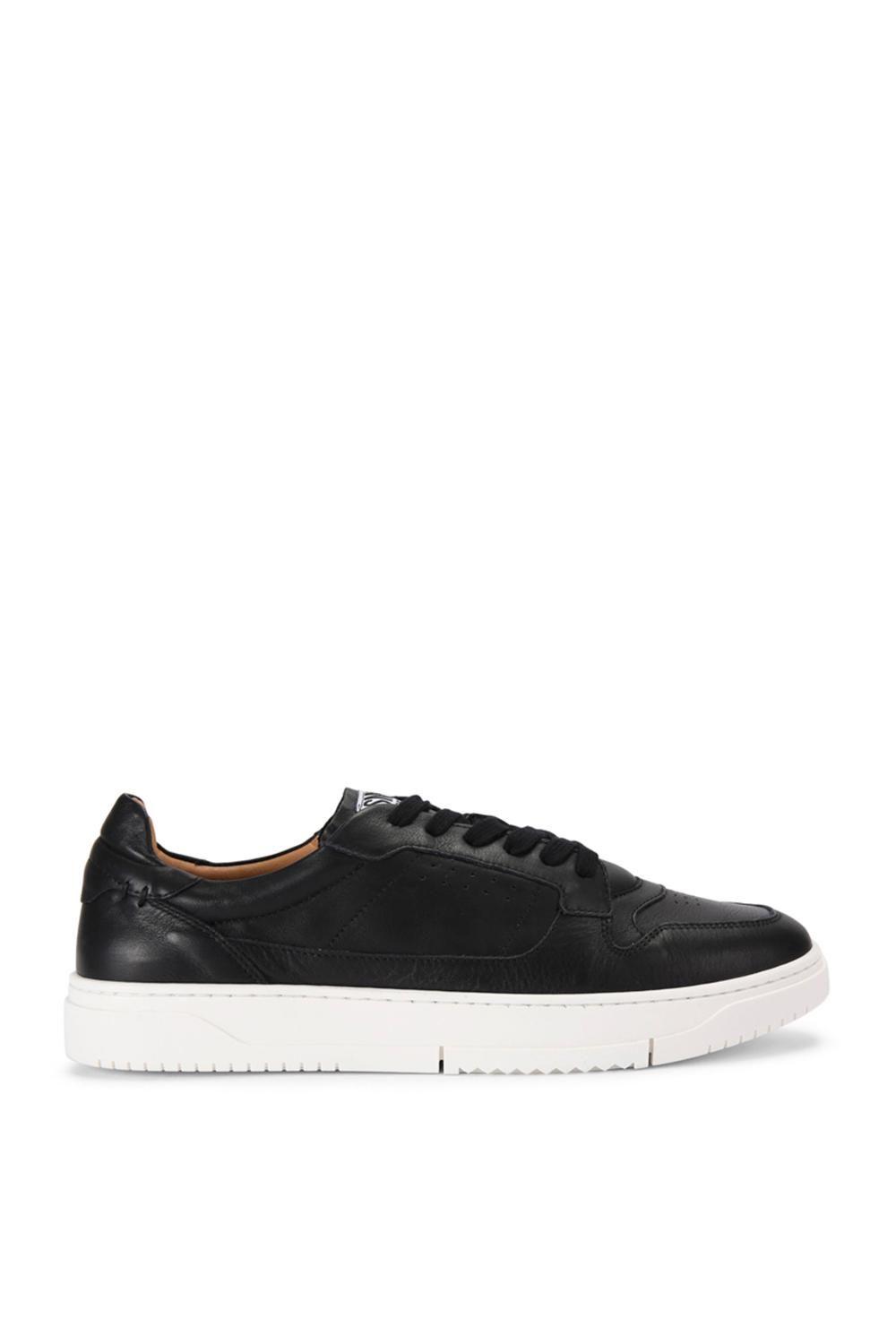 'Cliff 017' Leather Trainers by STEVE MADDEN