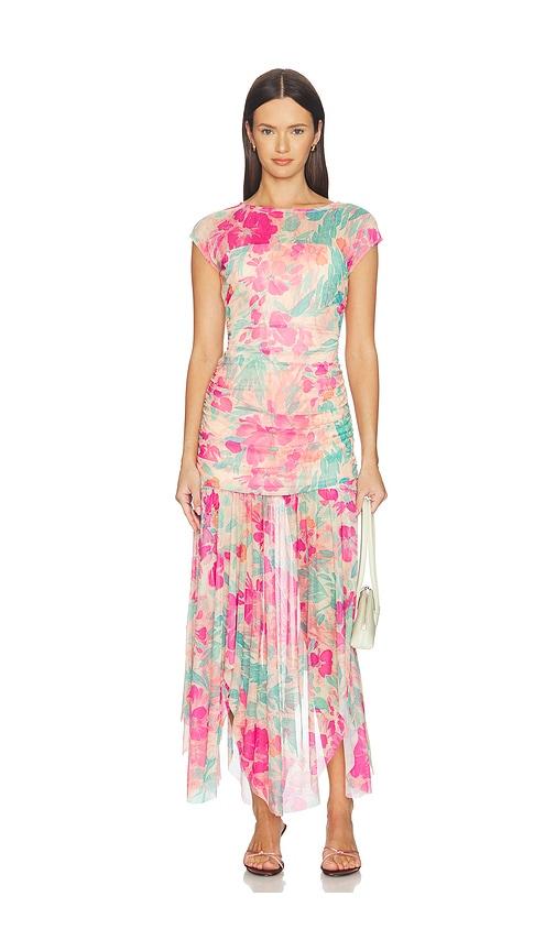 Steve Madden Agnes Dress in Pink by STEVE MADDEN