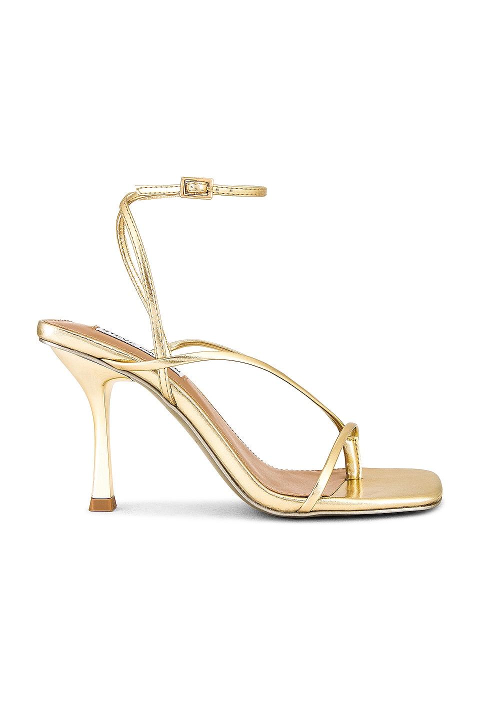 Steve Madden Annie Heel in Metallic Gold by STEVE MADDEN