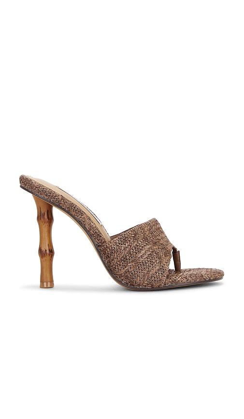 Steve Madden Briata Heels in Brown by STEVE MADDEN