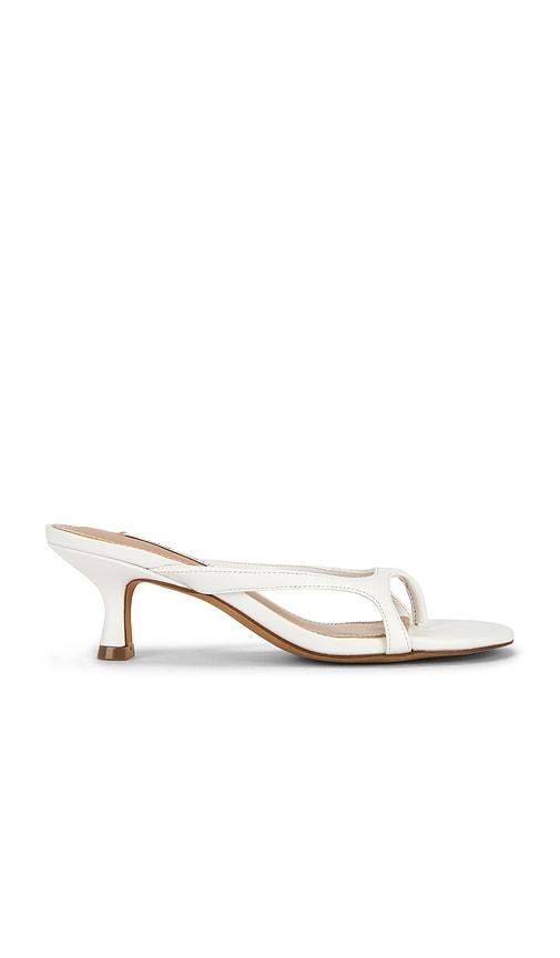 Steve Madden Brienna Sandal in White by STEVE MADDEN