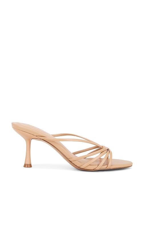 Steve Madden Edna Sandal in Nude by STEVE MADDEN