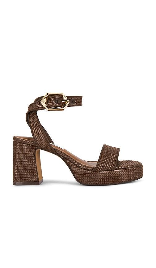Steve Madden Elida Sandal in Brown by STEVE MADDEN