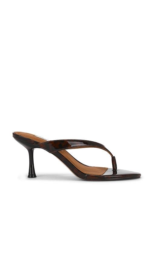 Steve Madden Faroh Sandal in Brown by STEVE MADDEN