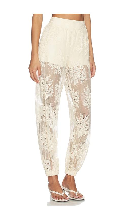 Steve Madden Faya Pant in Cream by STEVE MADDEN