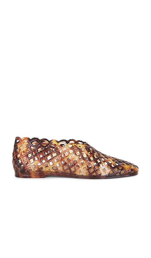 Steve Madden Grove Flat in Brown by STEVE MADDEN