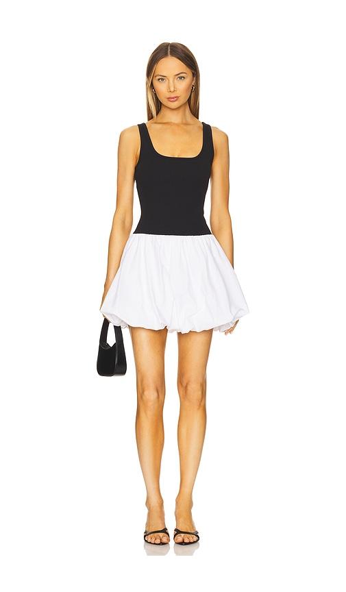 Steve Madden Linnea Dress in Black,White by STEVE MADDEN