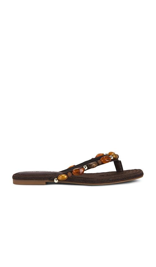 Steve Madden Marble Flip Flop in Brown by STEVE MADDEN