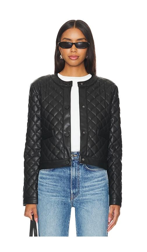 Steve Madden Martine Jacket in Black by STEVE MADDEN
