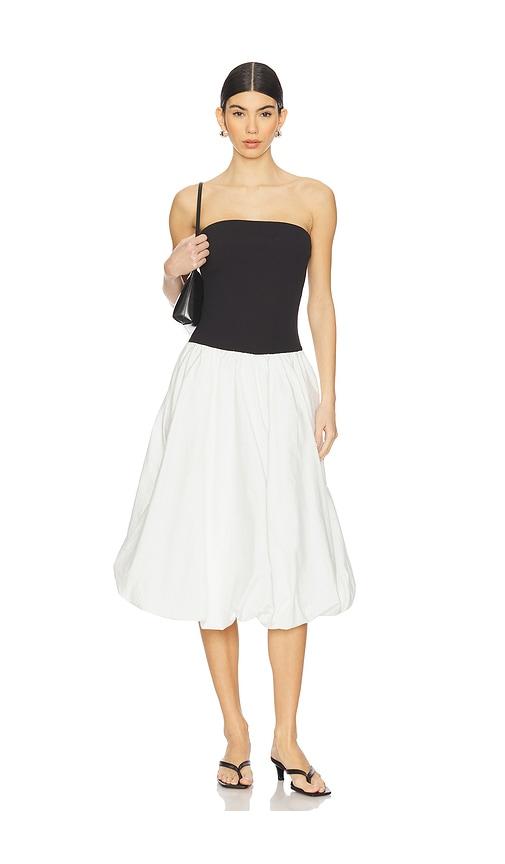 Steve Madden Oliver Dress in Black,White by STEVE MADDEN