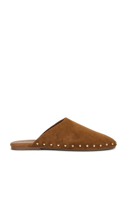 Steve Madden Pearson Flat in Chestnut Suede in Cognac by STEVE MADDEN