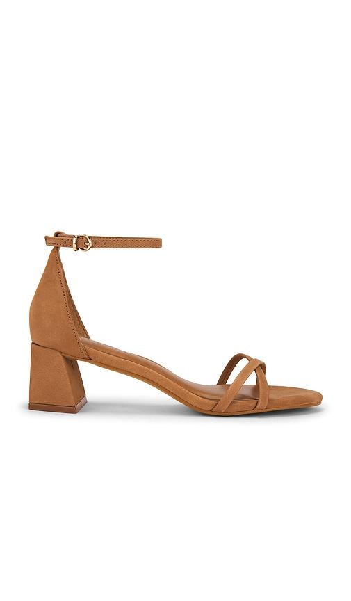 Steve Madden Rae Sandal in Brown by STEVE MADDEN