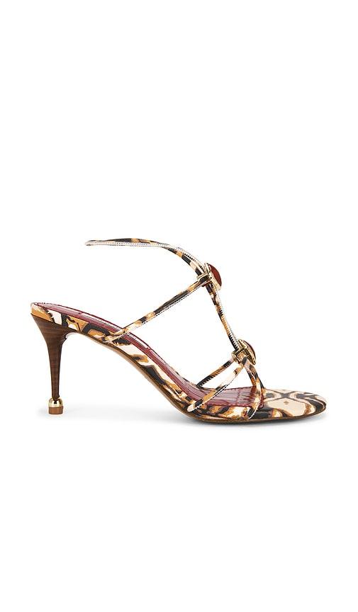 Steve Madden Ramos Strappy Sandal in Brown by STEVE MADDEN