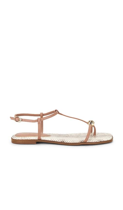 Steve Madden Ritzy Sandal in Brown by STEVE MADDEN
