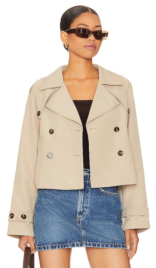 Steve Madden Sirus Jacket in Tan by STEVE MADDEN