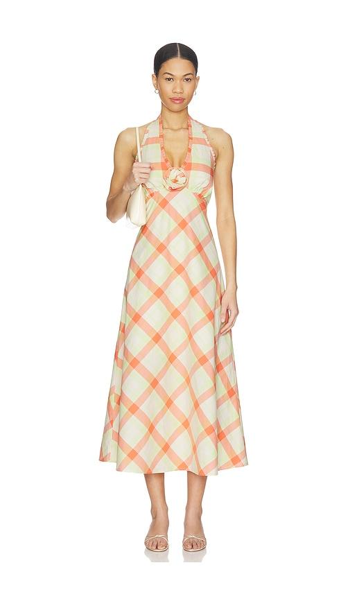 Steve Madden Tania Dress in Orange,Green by STEVE MADDEN