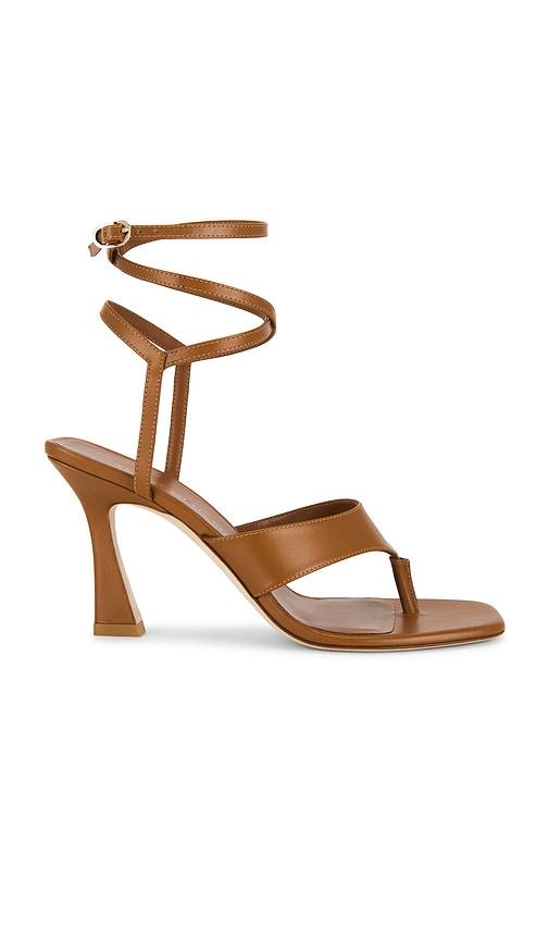 Stuart Weitzman Vinnie Wrap Thong Sandal 85 in Brown by STUART WEITZMAN