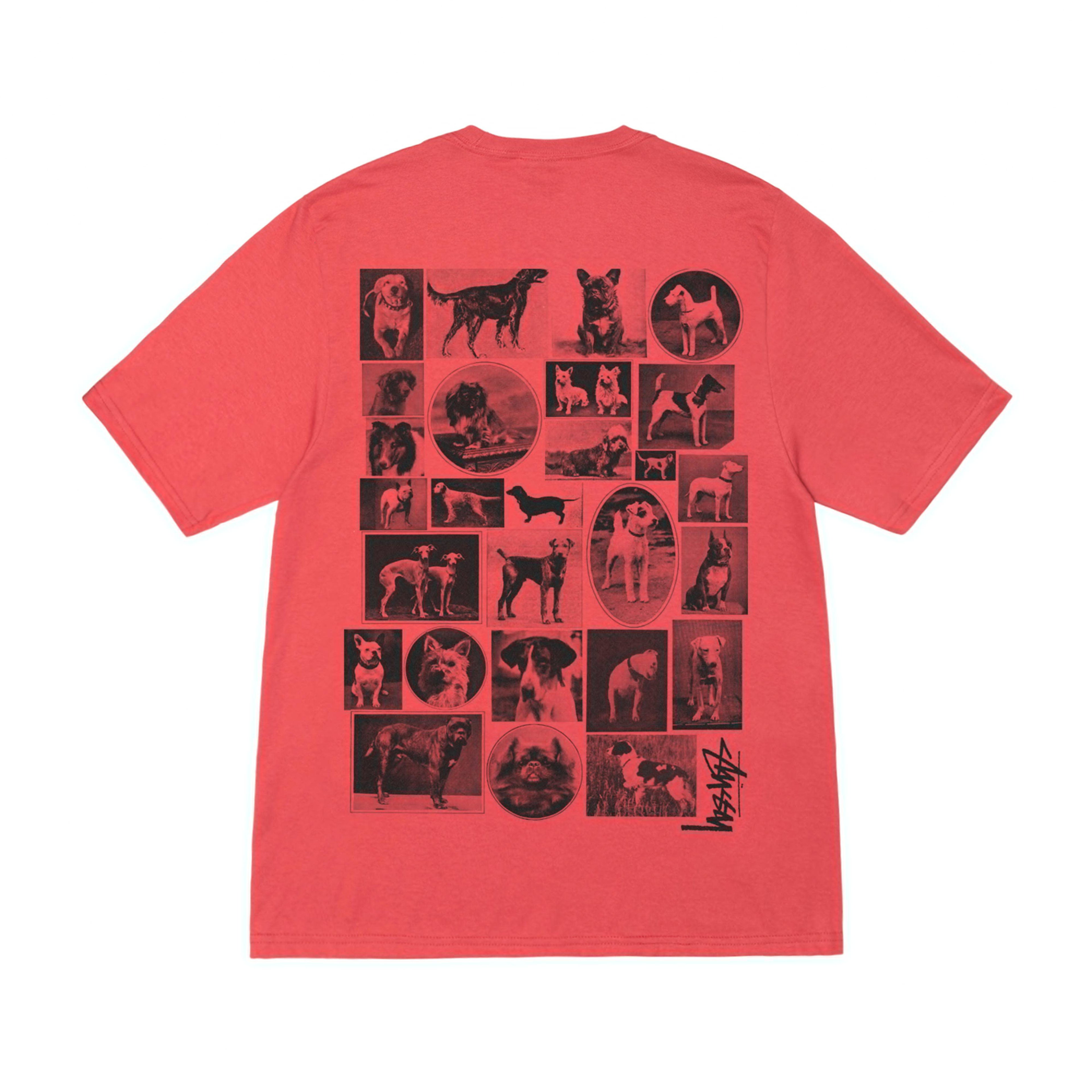 Stüssy - Dog Collage Tee - (Pepper) by STUSSY