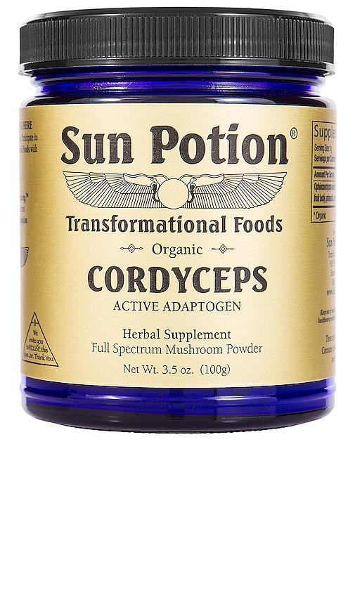 Sun Potion Cordyceps Active Adaptogen Mushroom Powder in Beauty by SUN POTION