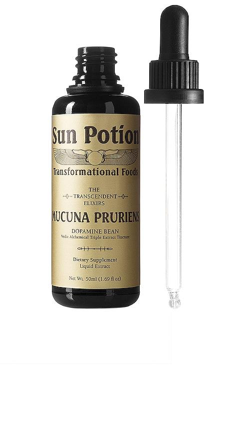Sun Potion Mucuna Pruriens The Dopamine Bean Transcendent Elixir in Beauty by SUN POTION