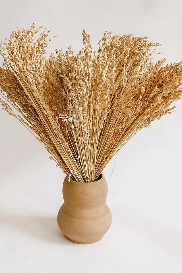 Sunhouse Craft Dried Broomcorn Harvest by SUNHOUSE CRAFT | FREE PEOPLE