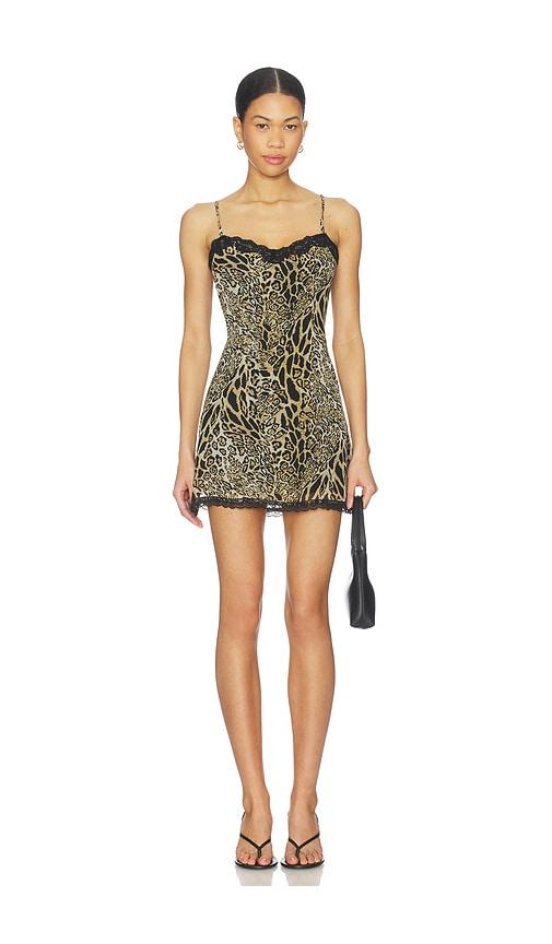 superdown Assa Mini Dress in Tan by SUPERDOWN