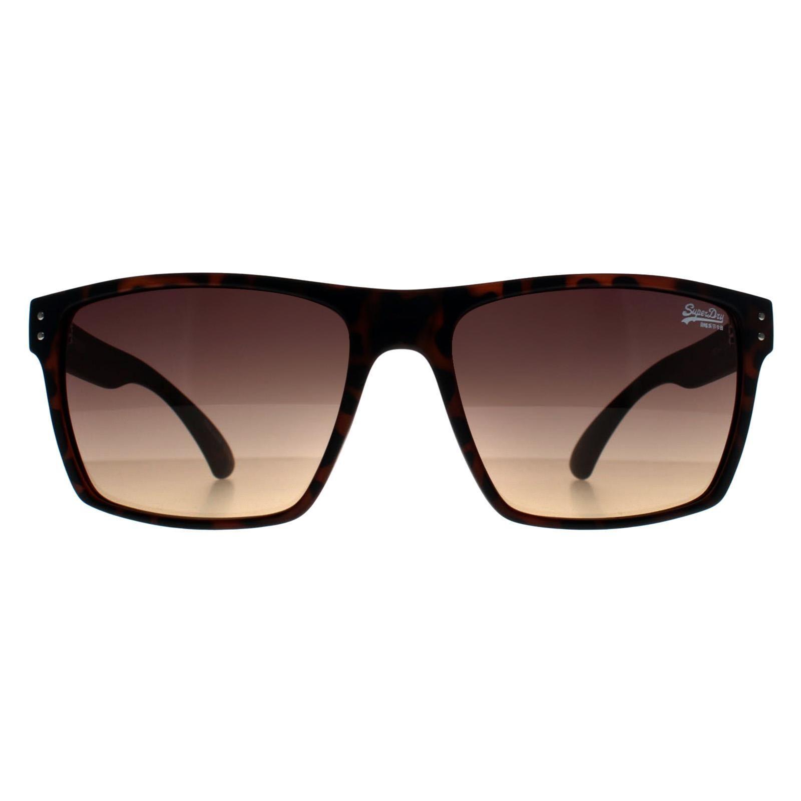 Square Havana Brown Kobe by SUPERDRY