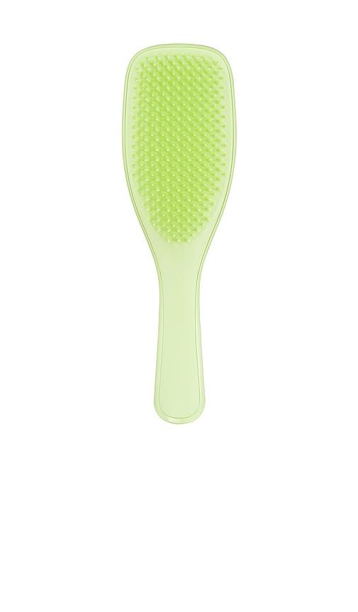 Tangle Teezer The Plant Brush For Fine & Fragile Hair in Cool Matcha by TANGLE TEEZER