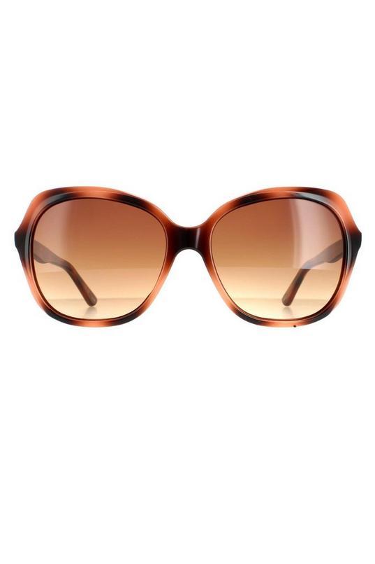 Fashion Havana Brown TB1645 by TED BAKER