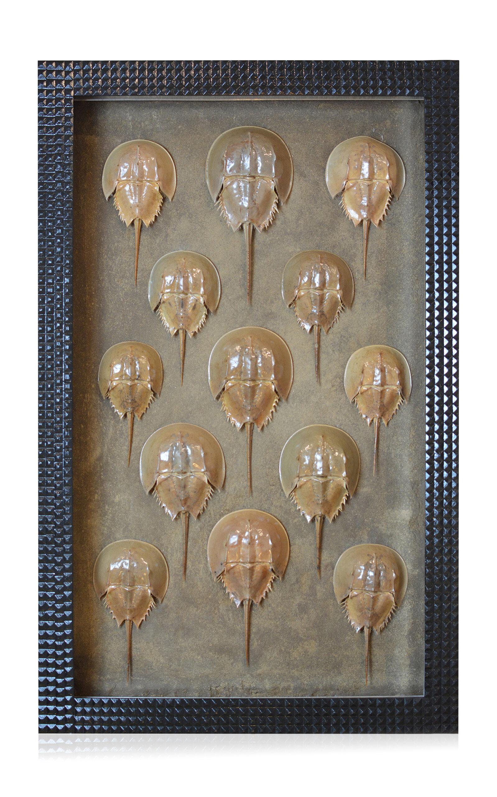 Tennant New York - Drones; Illuminated Vitrine Artwork - Multi - Moda Operandi by TENNANT NEW YORK