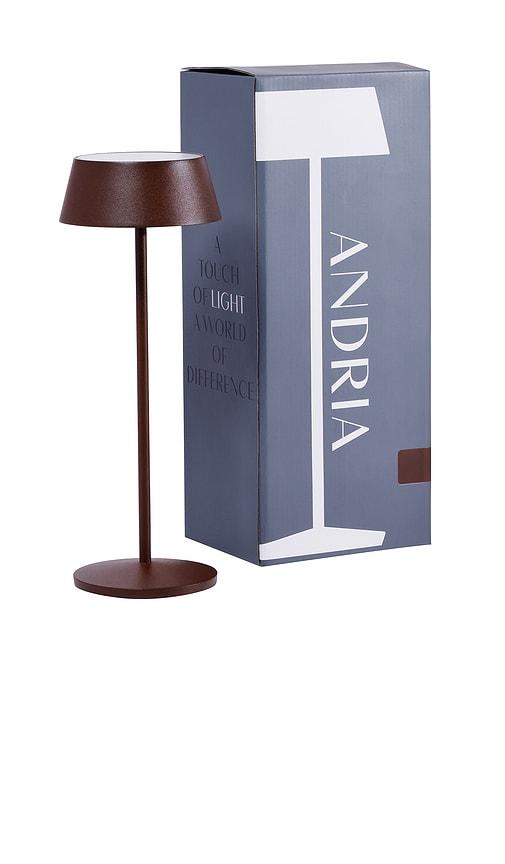 The Favorites Andria Rechargeable Table Light in Brown by THE FAVORITES