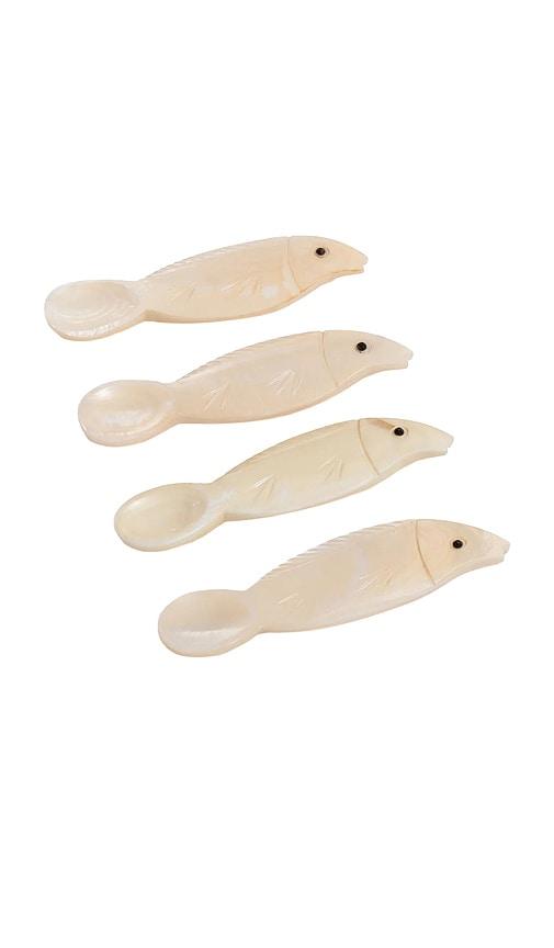 The Favorites Fish Condiment & Caviar Spoon in Ivory by THE FAVORITES