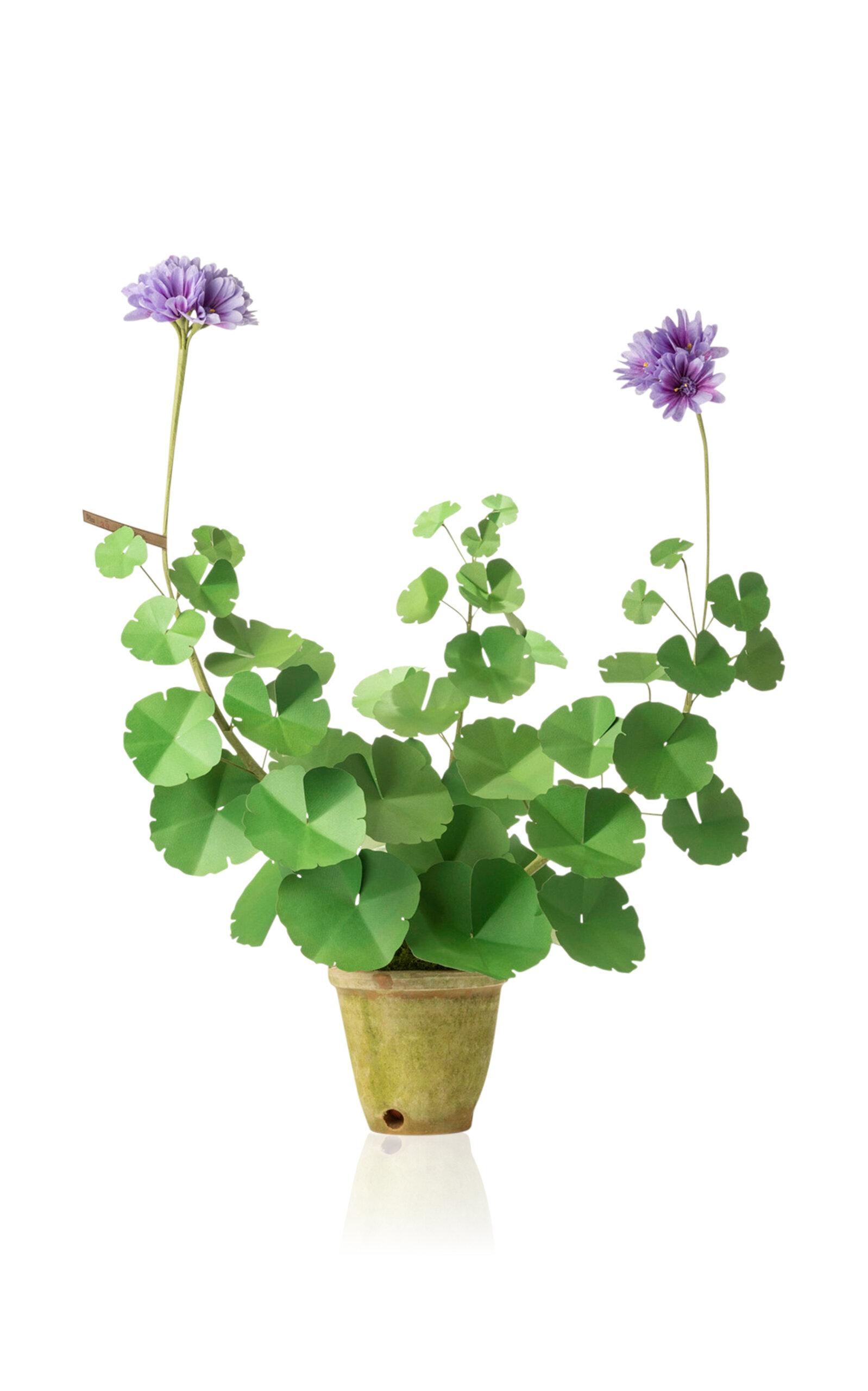 The Green Vase - Paper Geranium Plant - Purple - Moda Operandi by THE GREEN VASE