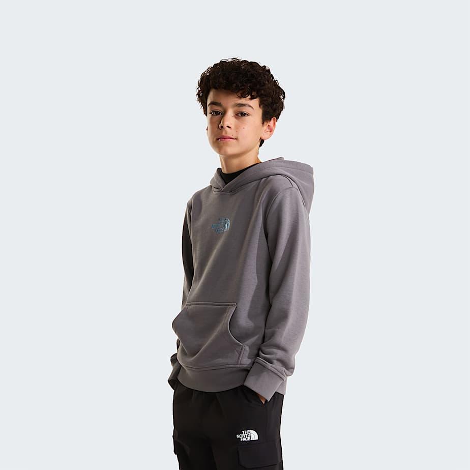 Boys' Liquid Logo Regular Hoodie Smoked Pearl by THE NORTH FACE