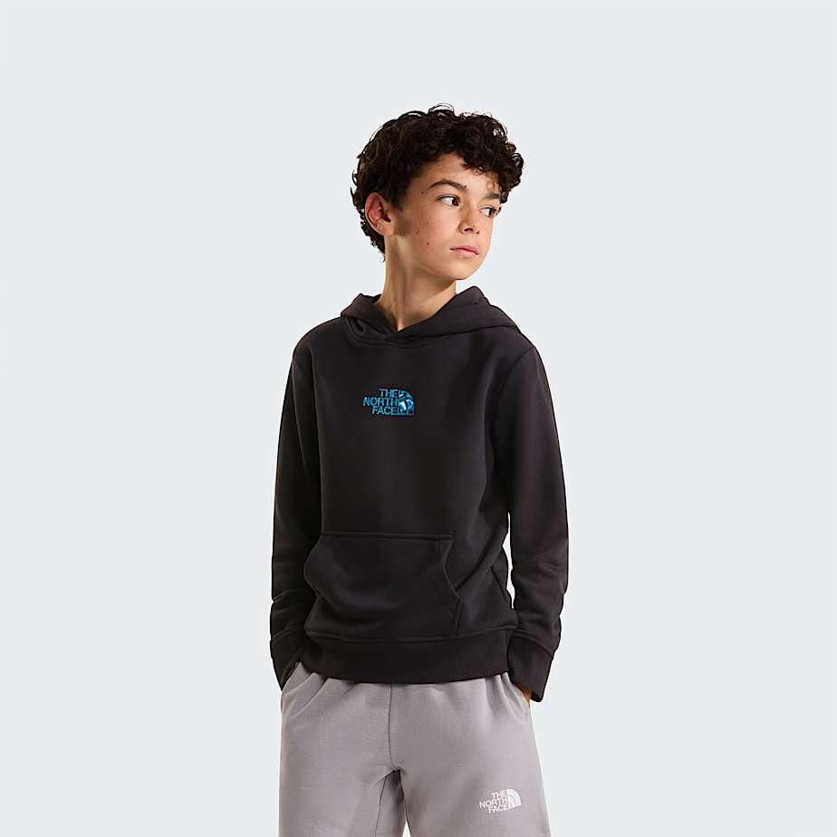 Boys' Liquid Logo Regular Hoodie Tnf Black by THE NORTH FACE
