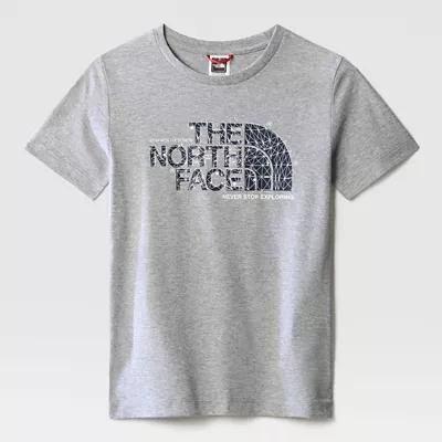 Boys' Short-sleeve Graphic T-shirt Tnf Light Grey Heather by THE NORTH FACE