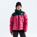 Summit Nuptse Down Jacket by THE NORTH FACE Summit Nuptse Down Jacket by THE NORTH FACE