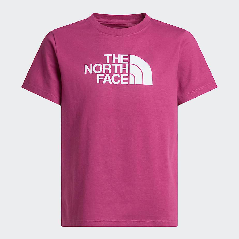 Teens' Evolution Half Dome T-shirt Cyber Berry by THE NORTH FACE
