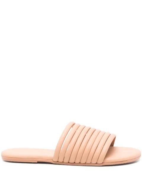 Caro slides by TKEES