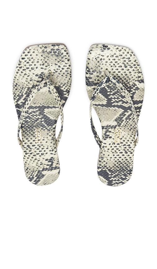 TKEES Square Toe Lily Sandal in Grey by TKEES