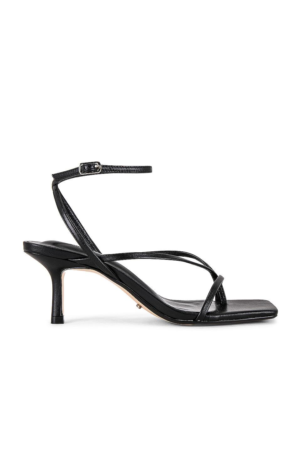 Tony Bianco Avi Sandal in Black by TONY BIANCO