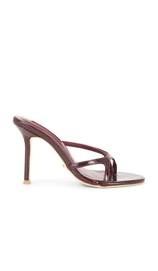 Tony Bianco Dima Mule in Wine by TONY BIANCO