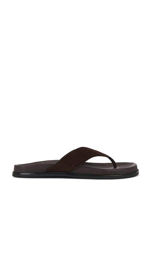 Tony Bianco Loop Flip Flop in Chocolate by TONY BIANCO