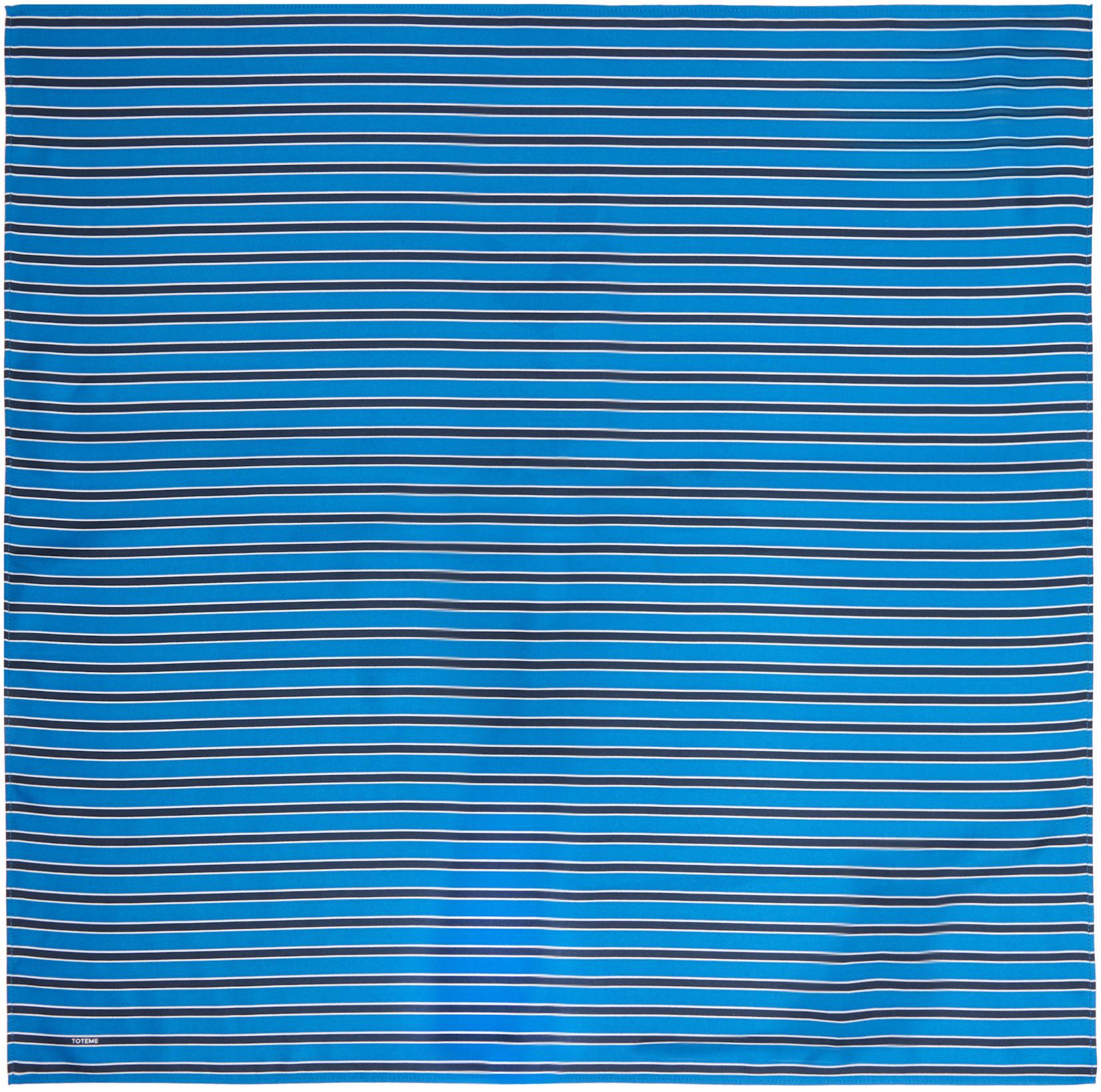 Blue & Navy Striped Silk Scarf by TOTEME