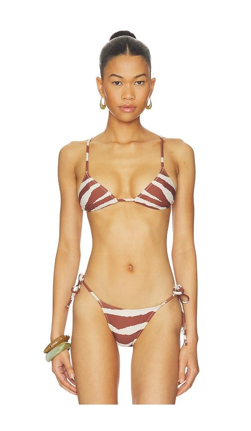 Tropic of C Equator Bikini Top in Brown by TROPIC OF C