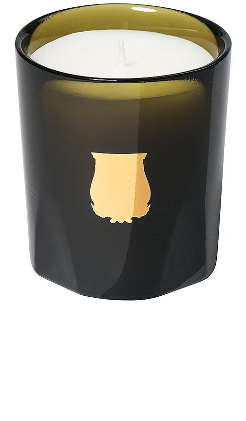 Trudon Abd El Kader Scented La Petite Bougie Candle in Green by TRUDON